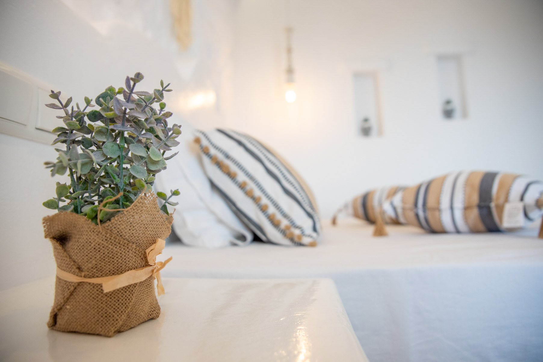 STUDIO 2 ADULT 42