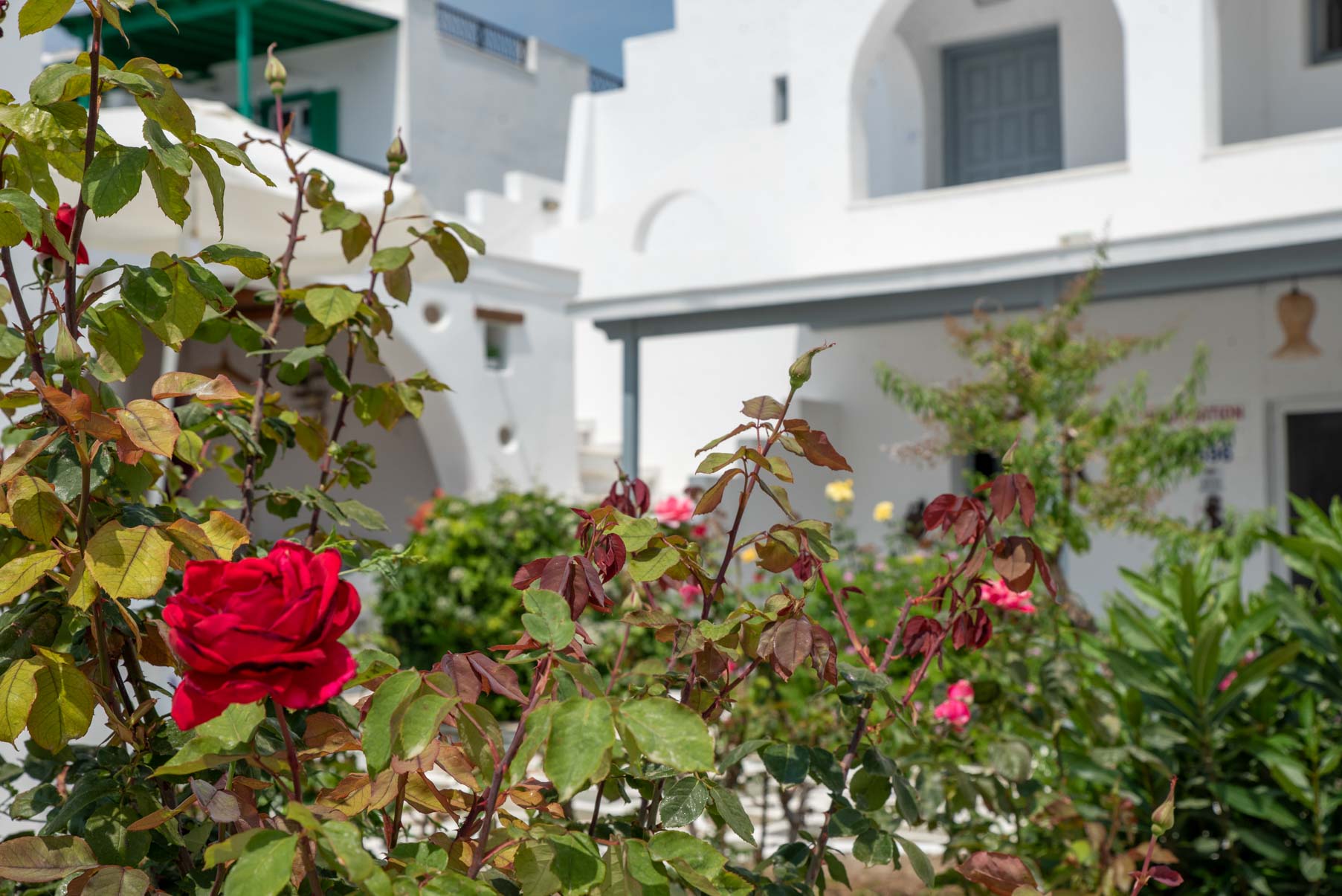 Keti Kapri Studios exterior